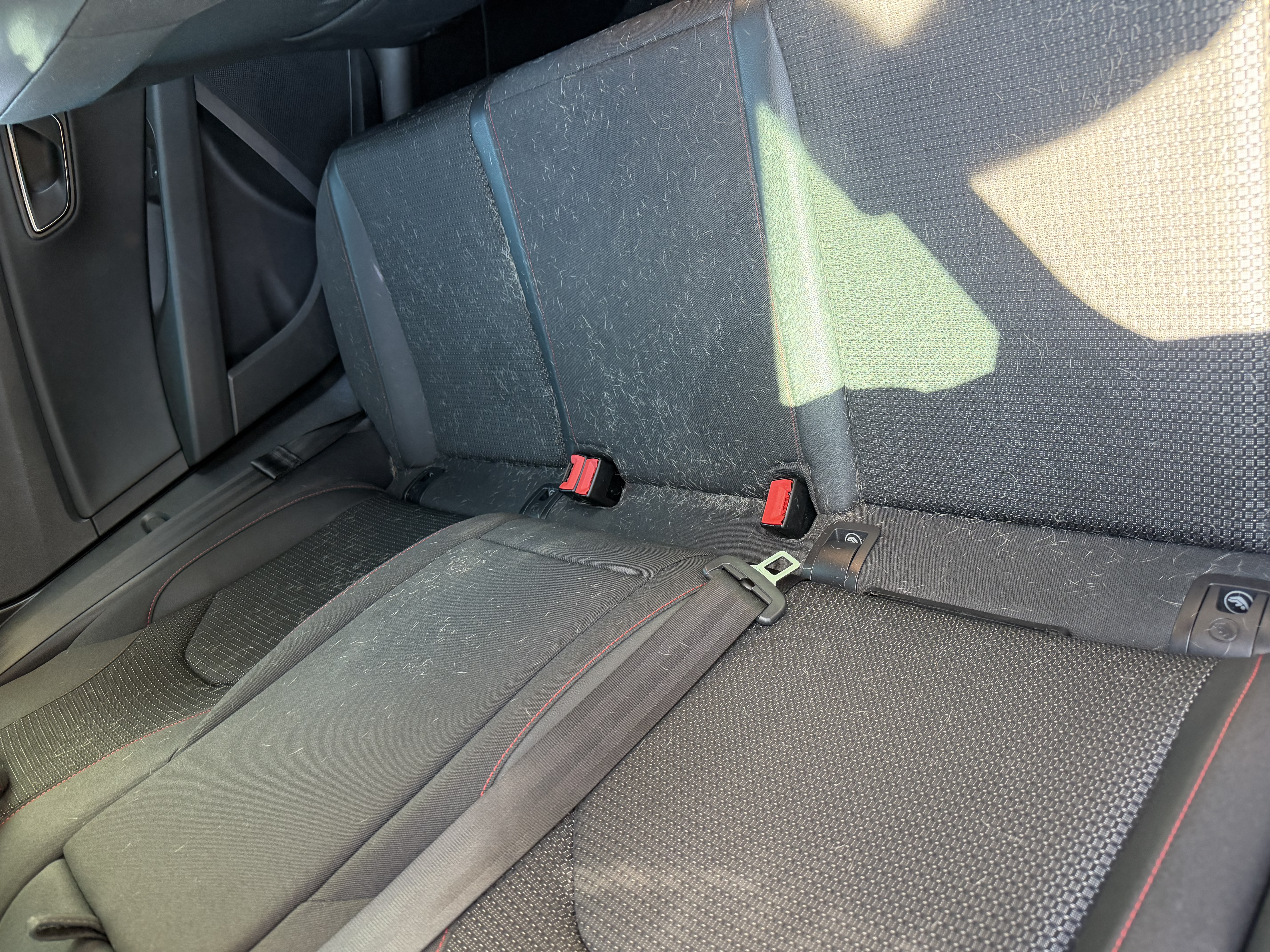 Before interior clean